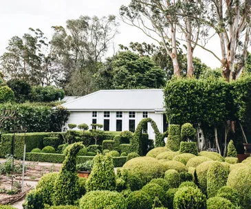 This ‘van Goghian’ garden is a wonderland of shady nooks, formal walkways and fields of flora