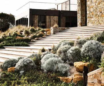 21 of the best silver plants for Australian gardens