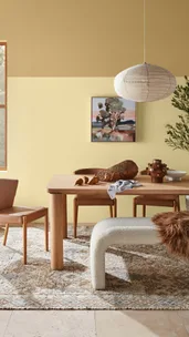 Dining set in front of a yellow backdrop