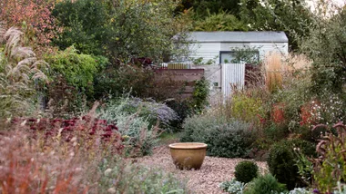 4 home composting myths debunked  