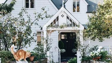 White weatherboard cottage with a steep gabled roof, black front door, and lush garden. A ginger cat stands on a stone ledge near potted plants and leafy trees surround the entrance.