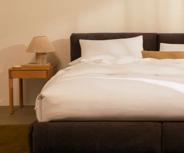 Eva Delve bed frame in chocolate is the best bedframe overall in Australia