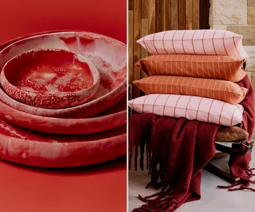 a curation of the best homewares brands, left image bowels from dinosaur designs, right image a collection of pillows