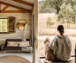 dog friendly accommodation in queensland