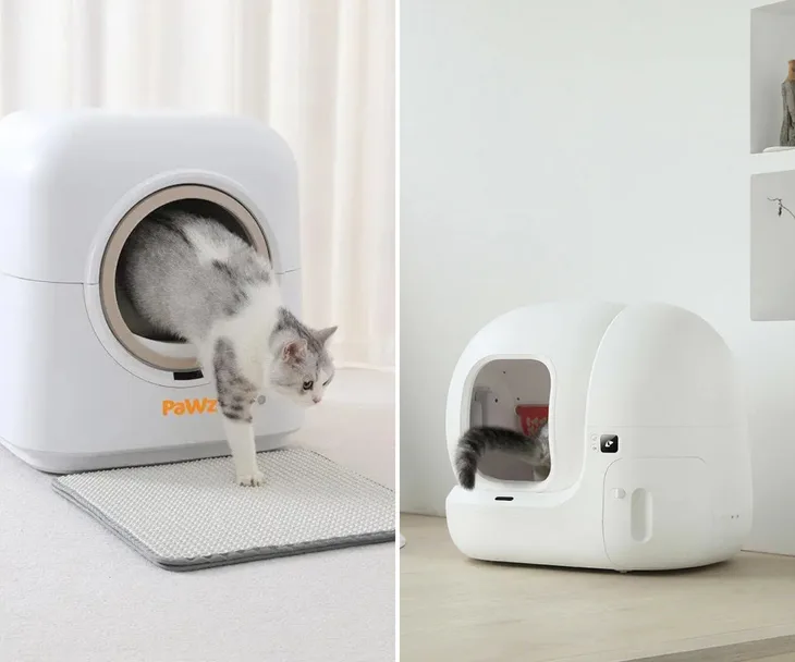 Best self cleaning litter trays to buy in Australia