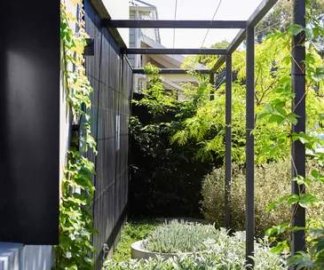 Small courtyard garden ideas