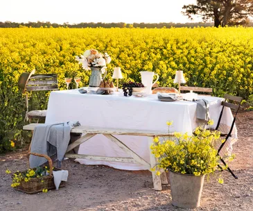The Riverina: where to eat, sleep and play on the canola trail