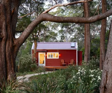 A red tiny home in the forest