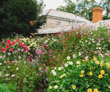 A flourishing garden full of pink, red and yellow flowers outside of historic manor, Rainham