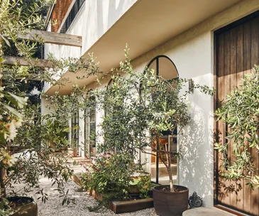 st-kilda-property-garden-facade