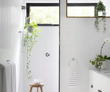 The best indoor hanging plants