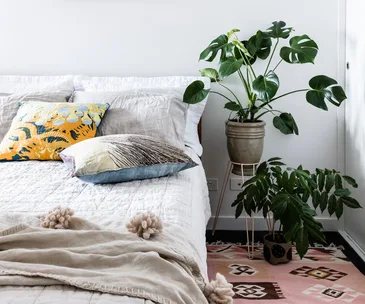 10 of the most convincing artificial indoor plants