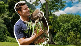 Zac Efron’s Byron Bay eco-retreat starts to take shape