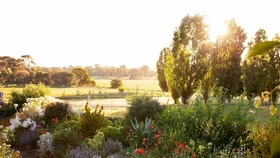 A country garden in Pipers Creek, Victoria